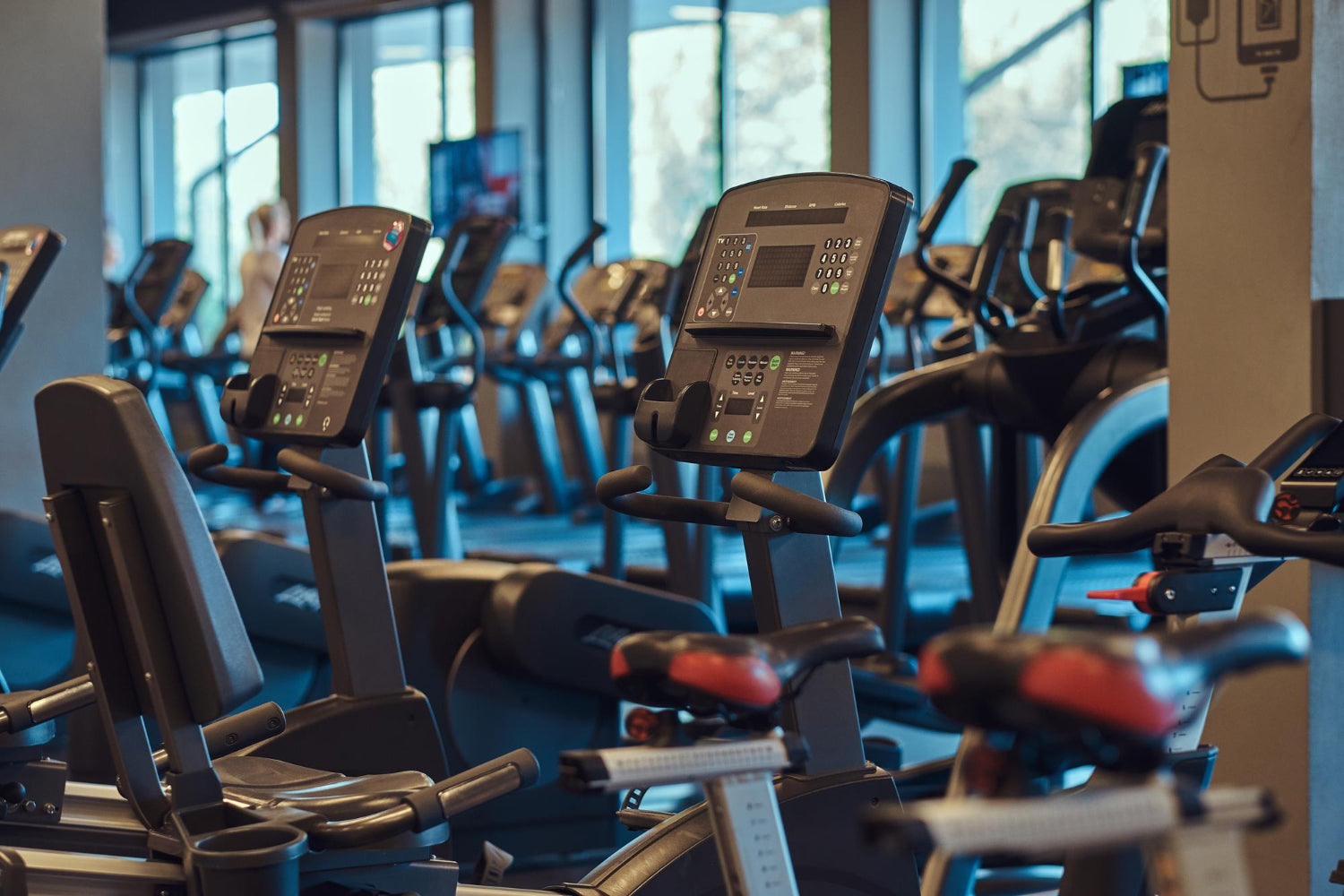 GYM EQUIPMENT