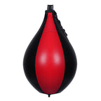 Professional Boxing Dodge Ball